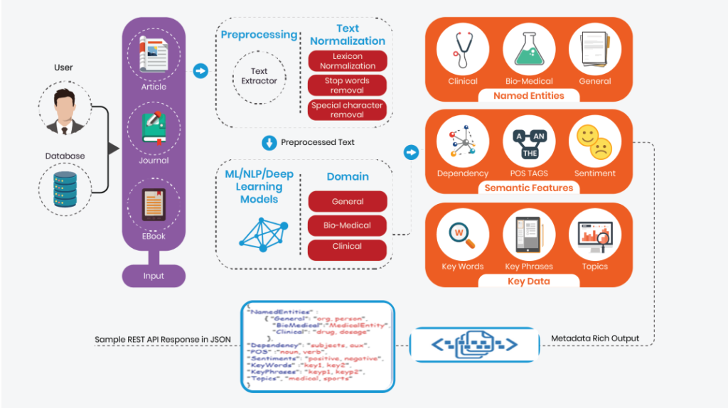 Metadata Tag Extractor Generate Appropriate Tags